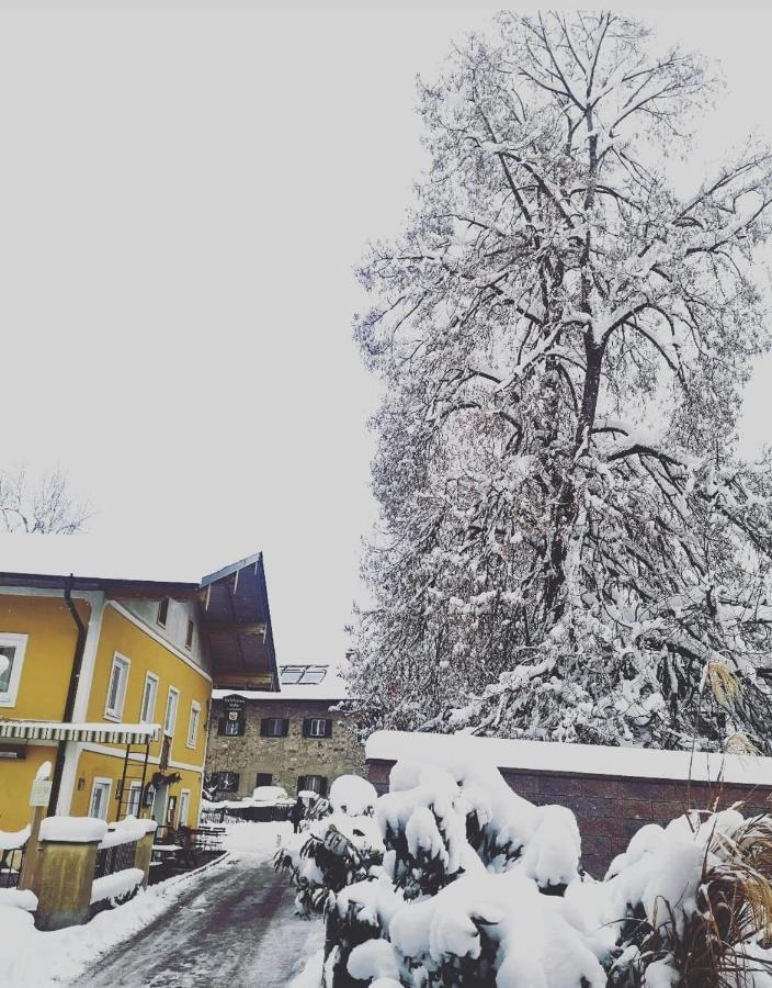 Appartement Kirchleiten Henndorf am Wallersee Zewnętrze zdjęcie